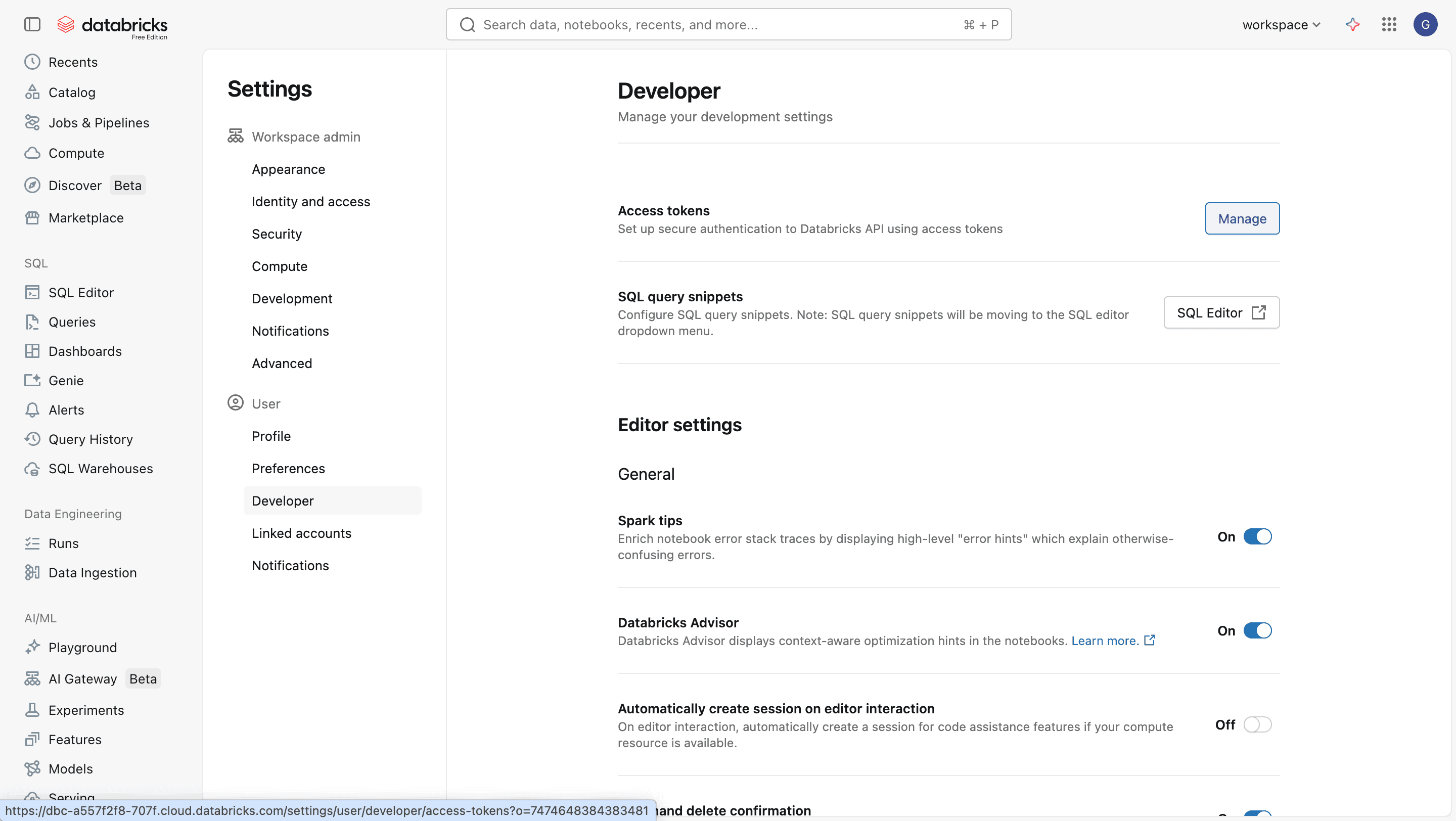 Databricks Developer settings screen