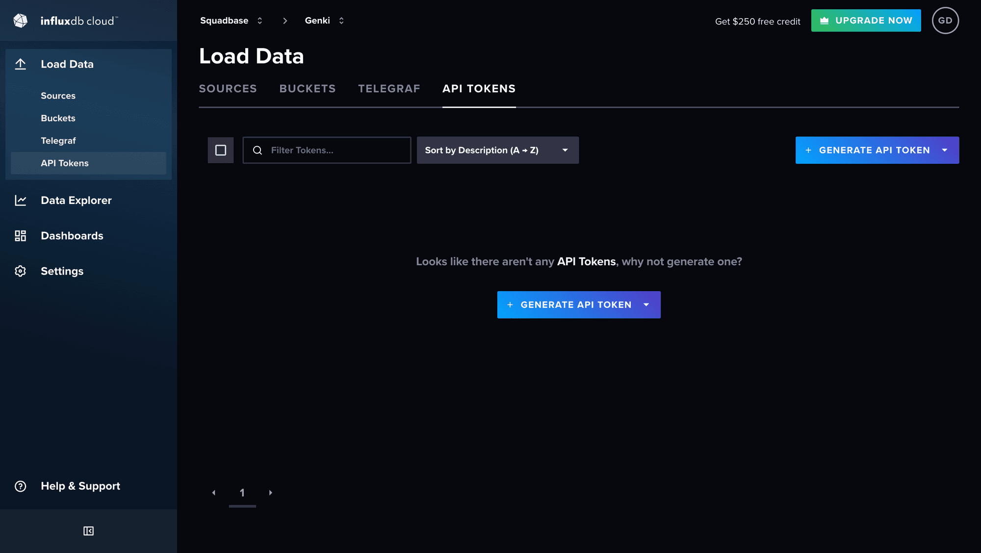 InfluxDB の Load Data → API Tokens 画面